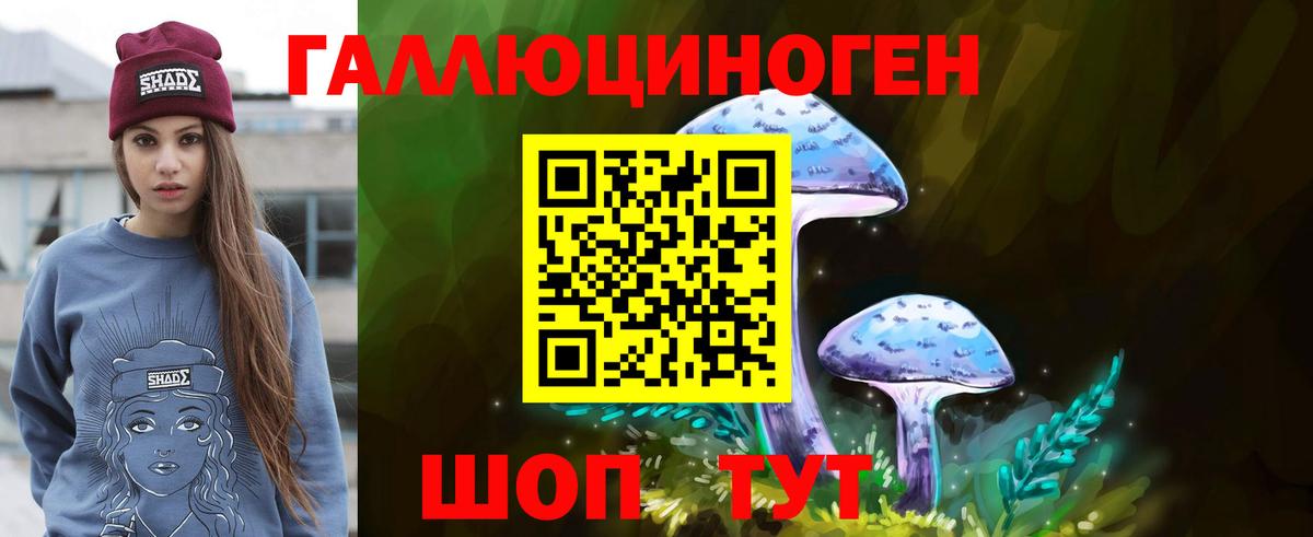 Азнакаево  Псилоцибиновые грибы Psilocybine cubensis  Вход с VPN 